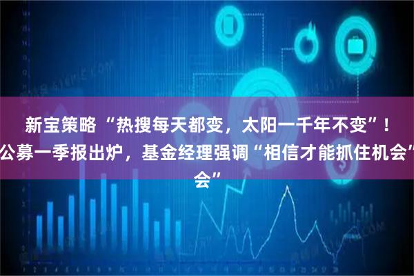 新宝策略 “热搜每天都变，太阳一千年不变”！公募一季报出炉，基金经理强调“相信才能抓住机会”