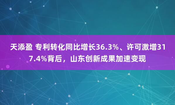 天添盈 专利转化同比增长36.3%、许可激增317.4%背后，山东创新成果加速变现