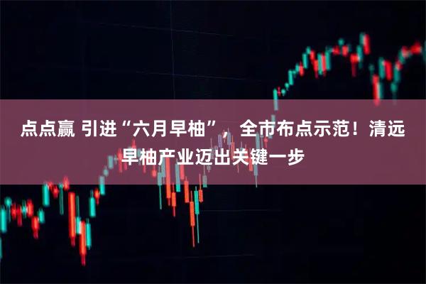 点点赢 引进“六月早柚”，全市布点示范！清远早柚产业迈出关键一步