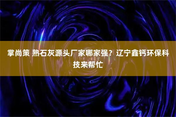 掌尚策 熟石灰源头厂家哪家强？辽宁鑫钙环保科技来帮忙